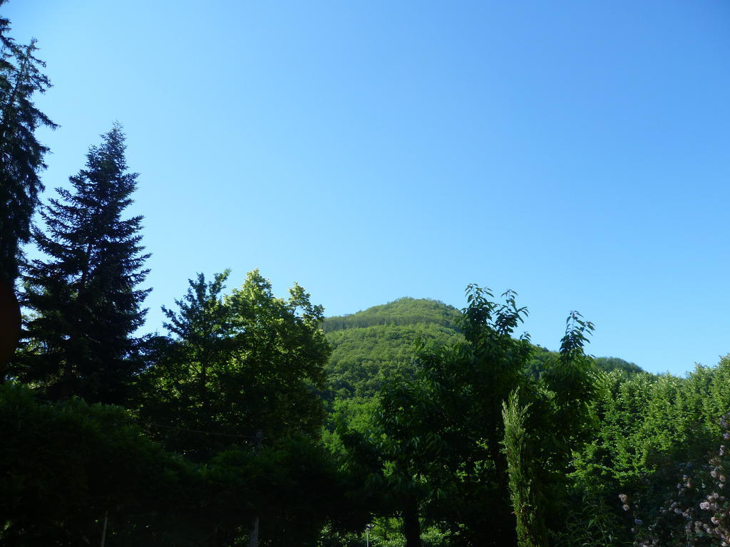 Villa Lucchesi Bagni di Lucca Kültér fotó